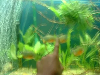 DSCF0046.webp