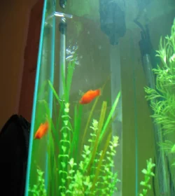 new_pics_008.webp