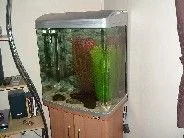 Picture_006.webp