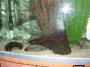 Picture_002.webp