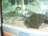 Picture_004.webp