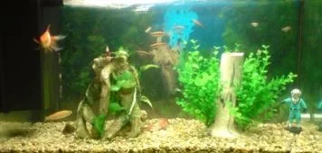 tank.webp