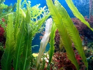 100_2216.webp