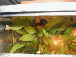 wrapping.JPG wrapping.JPG