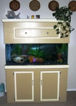Tank2.webp
