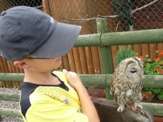 2006_0825_131921.webp