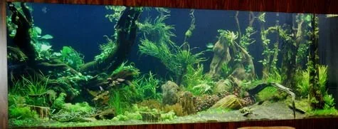 resized1600gal__day_1.webp