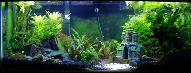 AngkorWat_101106m.jpg AngkorWat_101106m.jpg