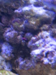 IMG_1300.JPG IMG_1300.JPG