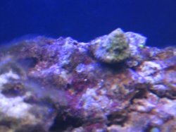 IMG_1302.JPG IMG_1302.JPG