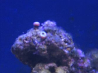 IMG_1304.JPG IMG_1304.JPG