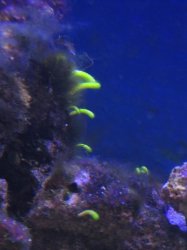 IMG_1305.JPG IMG_1305.JPG