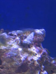 IMG_1306.JPG IMG_1306.JPG