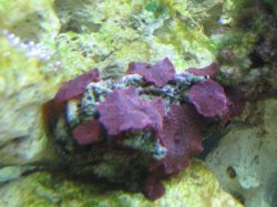 IMG_1316.JPG IMG_1316.JPG