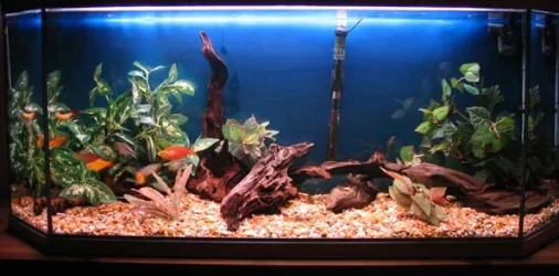 Untitled_1_copy.webp