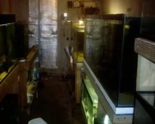 fishroom_pictures_001.webp
