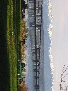 Oly_mts.webp