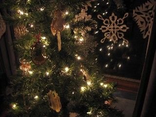 Web_tree_no_flash.jpg