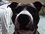 medium_lola.webp