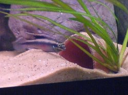 DSC00321.JPG DSC00321.JPG