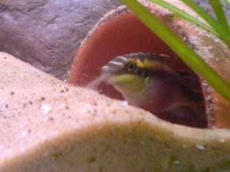 DSC00338.JPG DSC00338.JPG