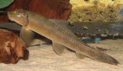 DSCF1584.JPG DSCF1584.JPG