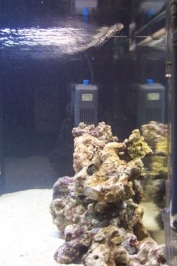 100_1025.JPG