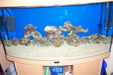 100_1022.JPG