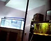 Picture_188.webp