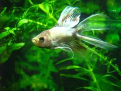 IMG_1399smaller.JPG