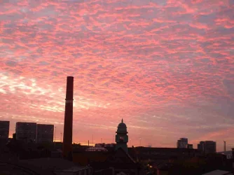 morning_2.webp