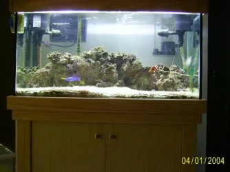 Full_Tank.webp Full_Tank.webp