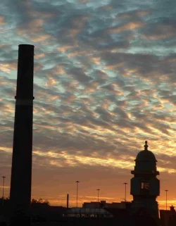 morning_3.webp