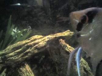 14_10_06_1645.jpg