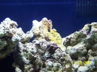 nano5.webp nano5.webp