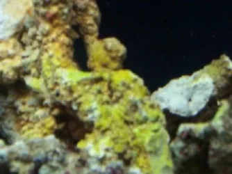 100_1423.webp 100_1423.webp