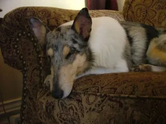 bri_on_couch.webp bri_on_couch.webp