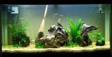 tank_setup.jpg tank_setup.jpg