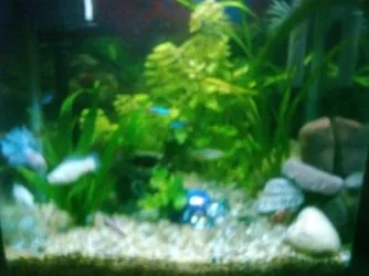 fishypics_009.webp