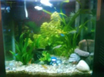 fishypics_008.webp