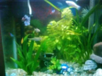 fishypics_006.webp