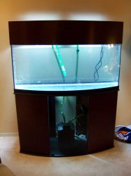 Fish_Tank_Journal.jpg Fish_Tank_Journal.jpg