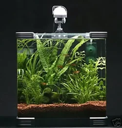 7d50_1_1_.webp