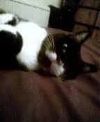 toby.webp toby.webp