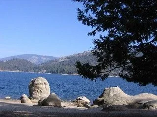 Web_rocks_lake_tree.webp