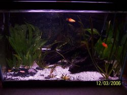 20_tank_pic.JPG