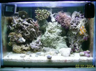 swtank2.webp