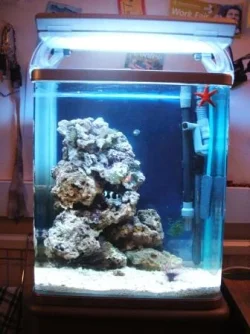 tank__.webp