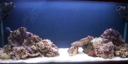 tank_002.webp tank_002.webp