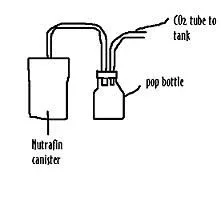 co2.webp